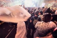 passaro_ligabue_16